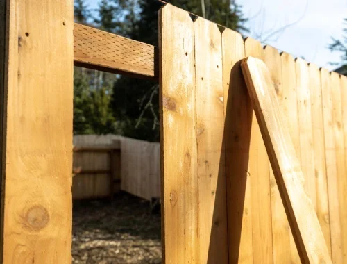 Timber and Colorbond fencing options suited to Geelong homes and outdoor conditions